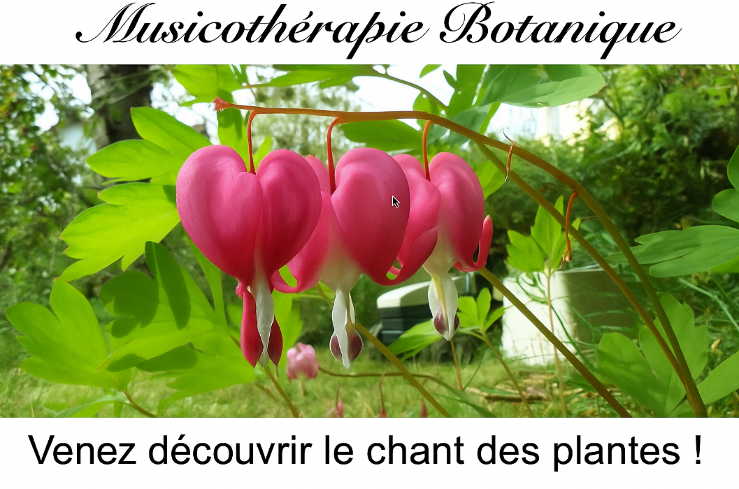 MUSICOTHERAPIE BOTANIQUE - Musique des Plantes